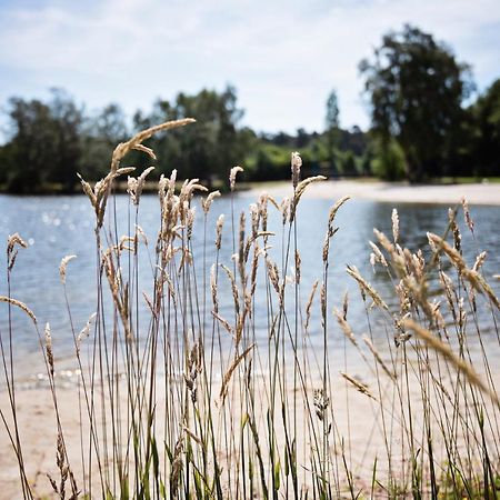 Ferienparadies Muehlenbach Soltau Buitenkant foto
