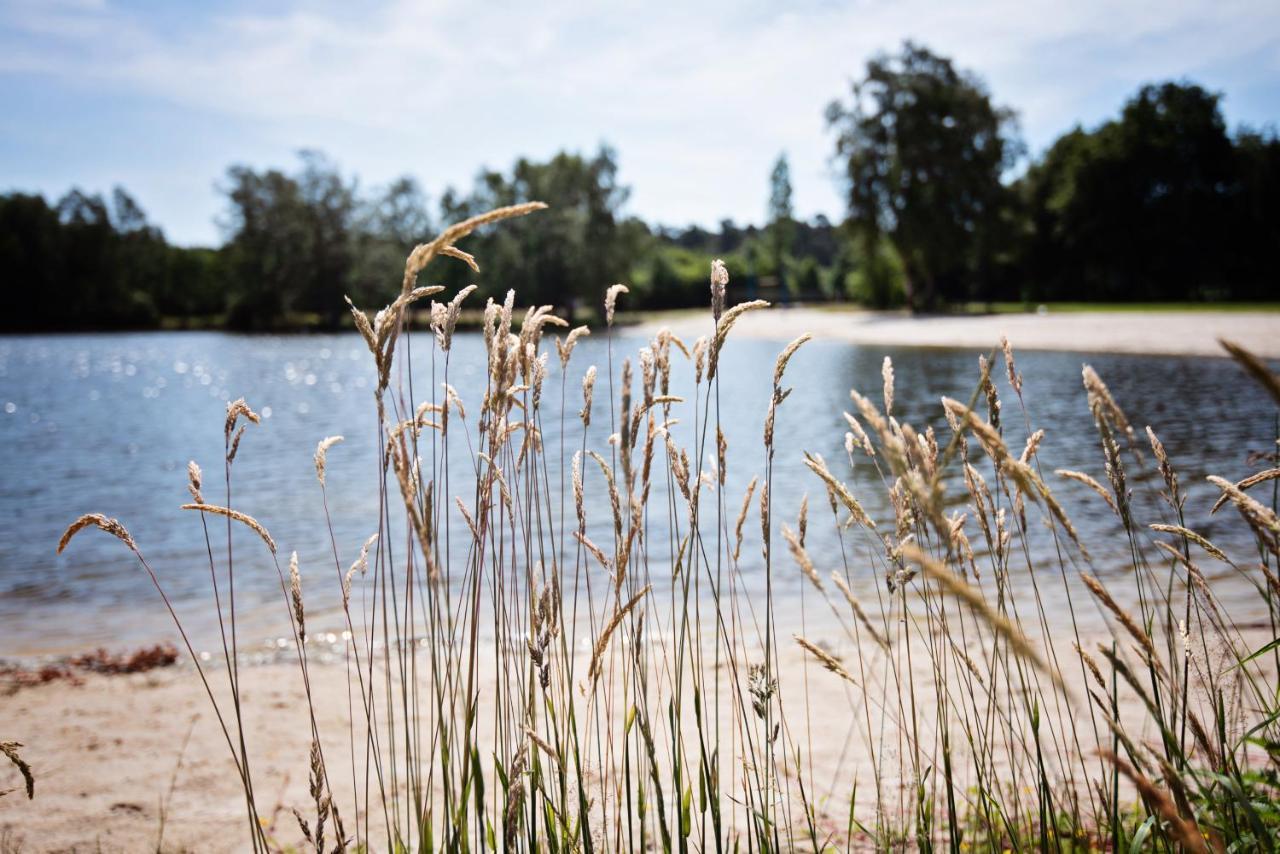 Ferienparadies Muehlenbach Soltau Buitenkant foto