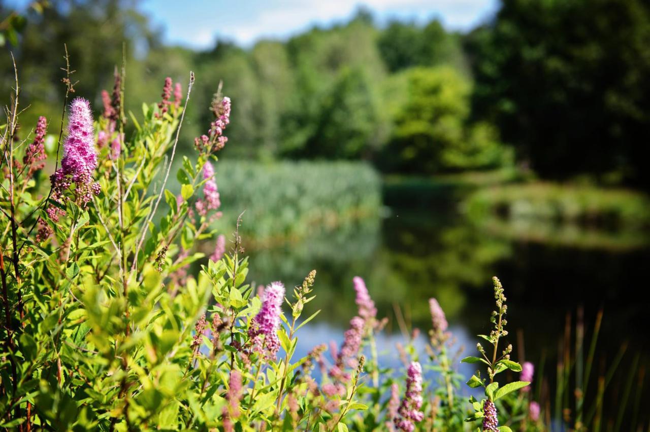 Ferienparadies Muehlenbach Soltau Buitenkant foto